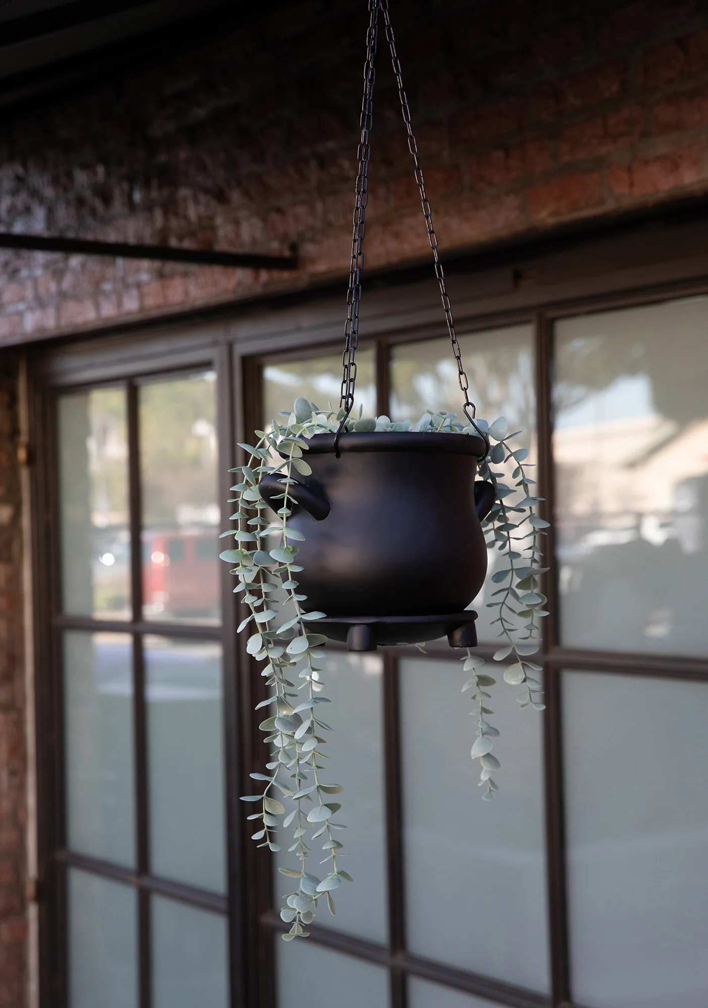 Crafty Witch Hanging Planter - Image 2