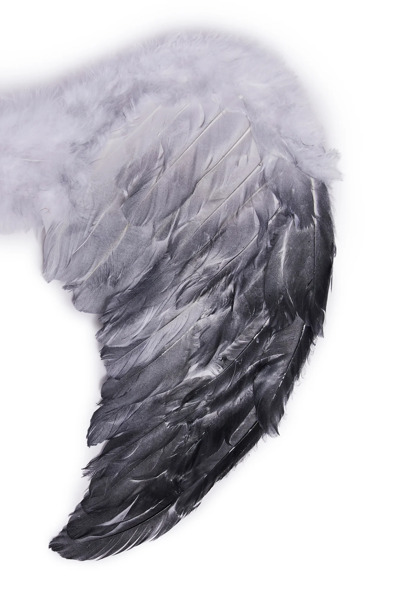 Fallen Feathers Angel Wings - Image 7