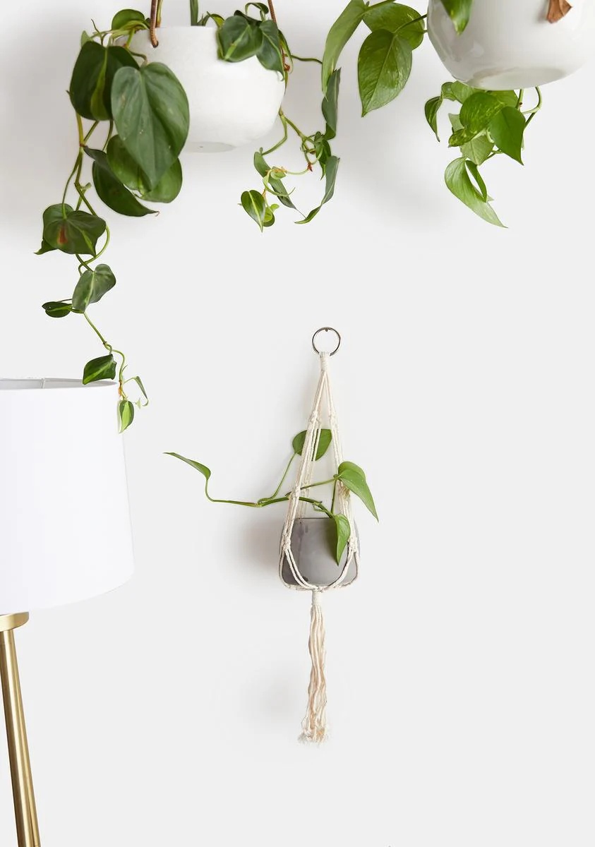 Macra-Yay Macrame And Cement Planter - Image 2
