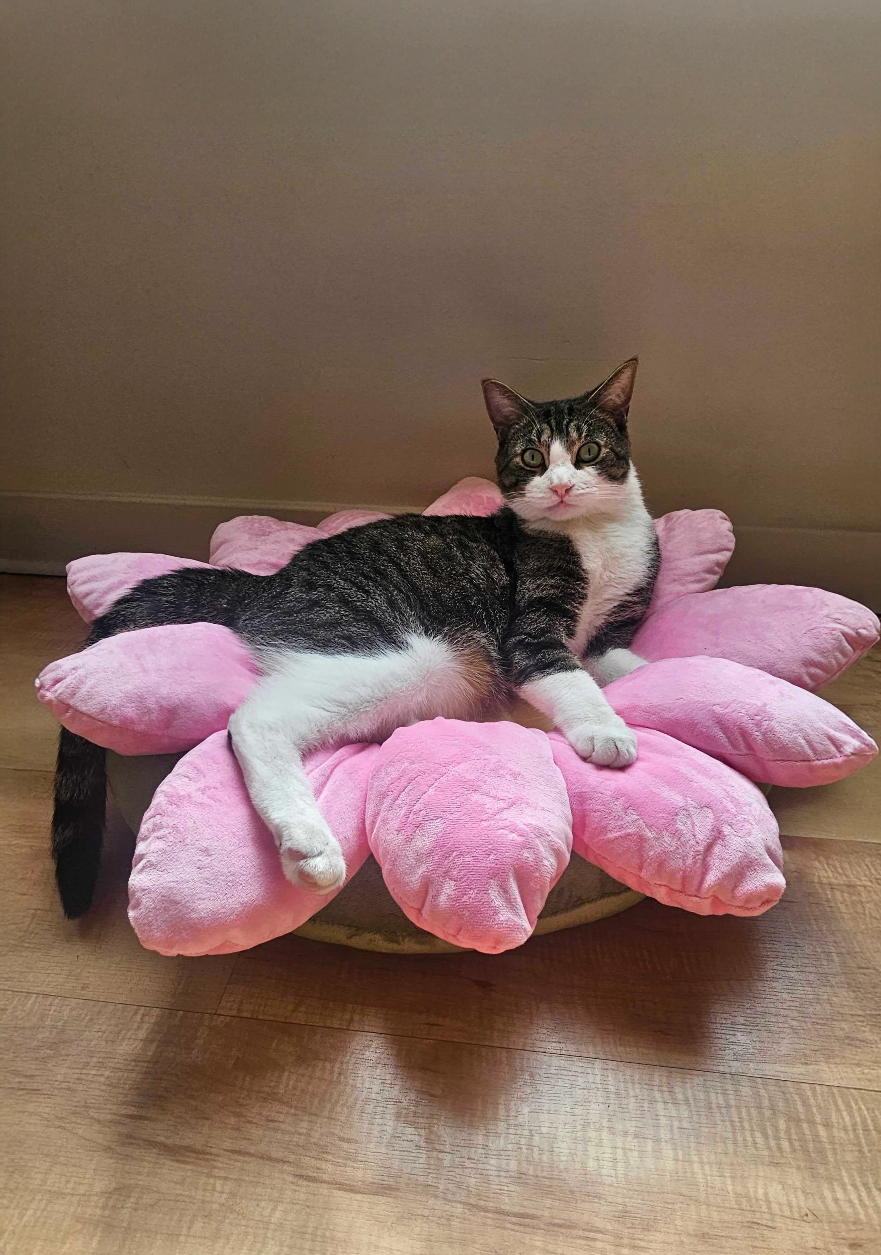 Sweet Flower Cat Bed - Image 2