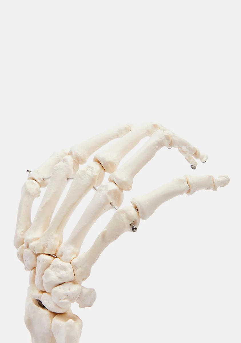 Skeleton Hand Jewelry Holder - Image 2